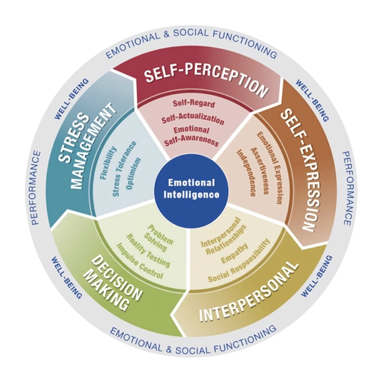 EQ 360 Assessment