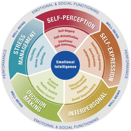 mastering emotional intelligence